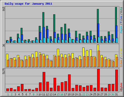 Daily usage for January 2011