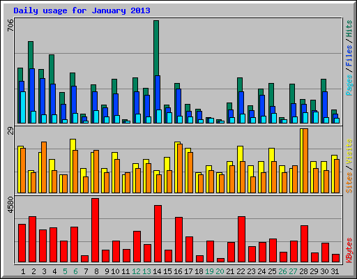 Daily usage for January 2013
