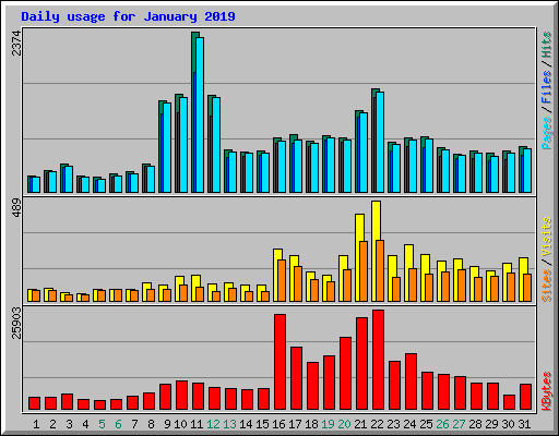 Daily usage for January 2019