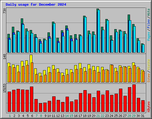 Daily usage for December 2024