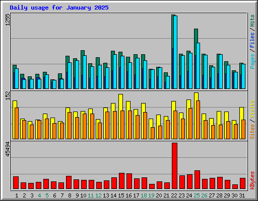 Daily usage for January 2025