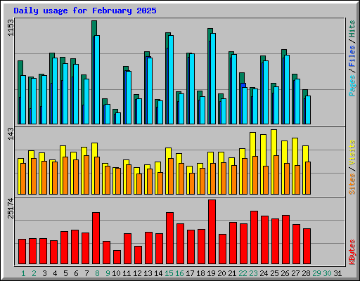 Daily usage for February 2025