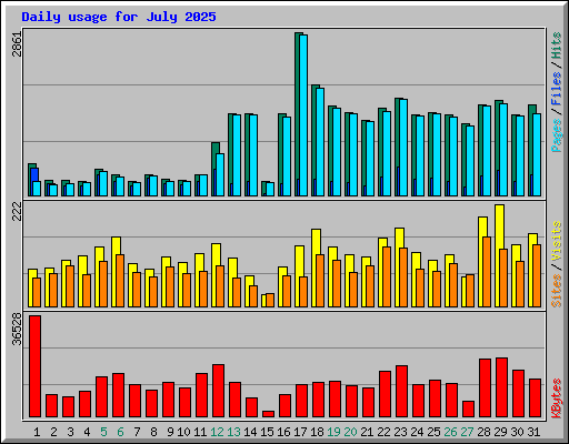 Daily usage for July 2025