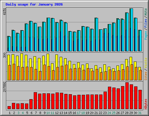 Daily usage for January 2026