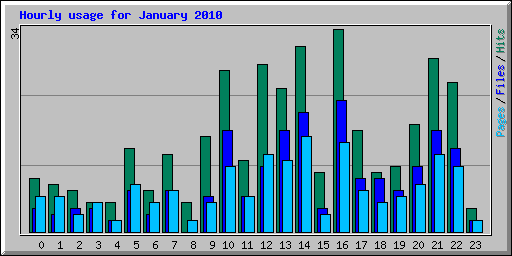 Hourly usage for January 2010