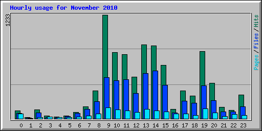 Hourly usage for November 2010