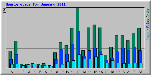 Hourly usage for January 2011