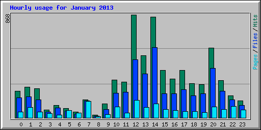 Hourly usage for January 2013