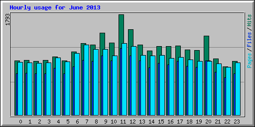 Hourly usage for June 2013