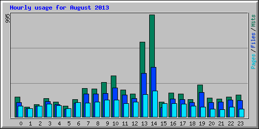Hourly usage for August 2013