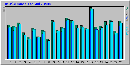 Hourly usage for July 2016