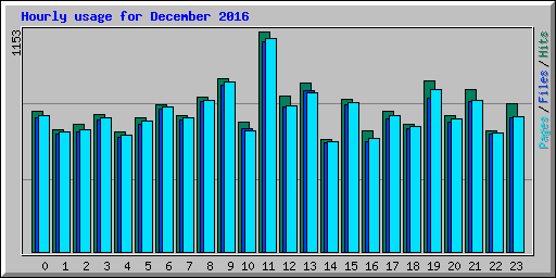 Hourly usage for December 2016