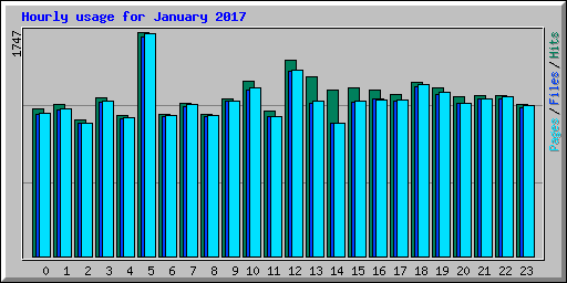 Hourly usage for January 2017