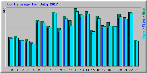 Hourly usage for July 2017