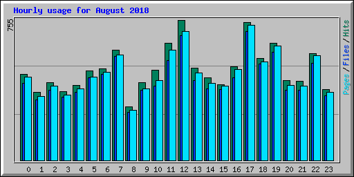 Hourly usage for August 2018
