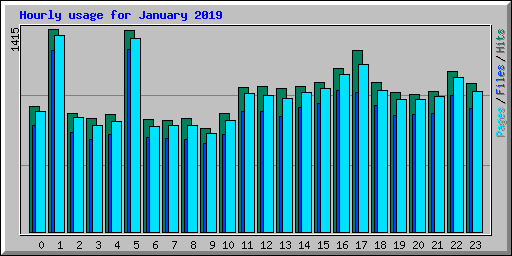 Hourly usage for January 2019