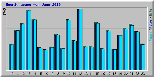 Hourly usage for June 2019