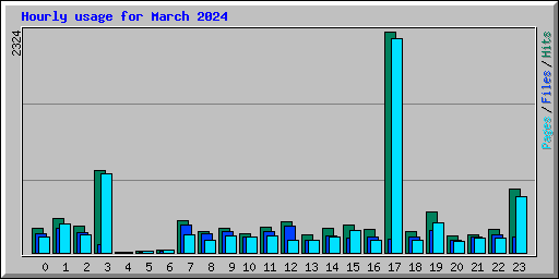 Hourly usage for March 2024