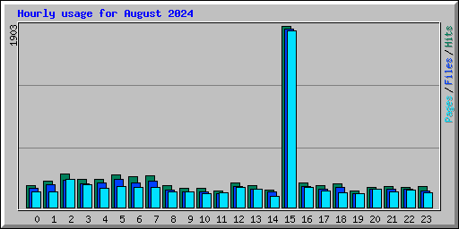 Hourly usage for August 2024