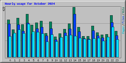 Hourly usage for October 2024