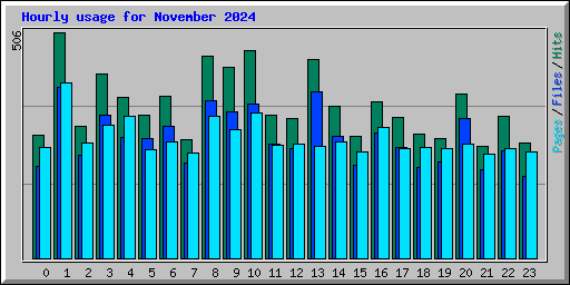Hourly usage for November 2024