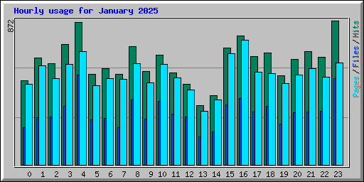Hourly usage for January 2025