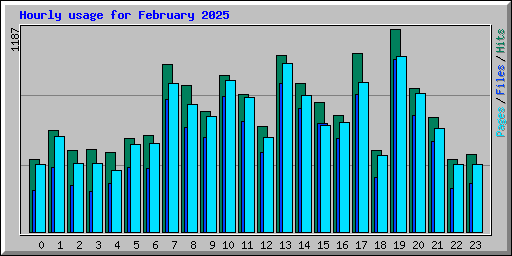 Hourly usage for February 2025
