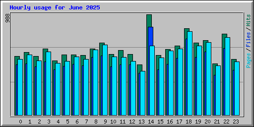 Hourly usage for June 2025