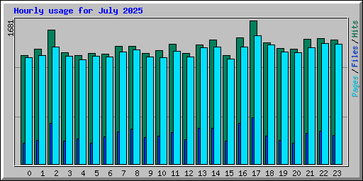 Hourly usage for July 2025
