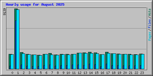 Hourly usage for August 2025