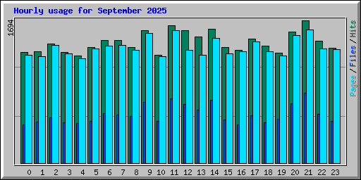 Hourly usage for September 2025