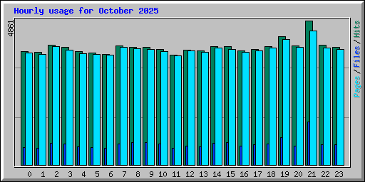 Hourly usage for October 2025