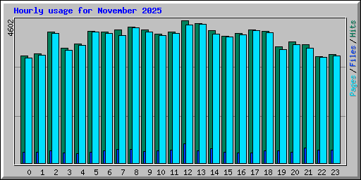 Hourly usage for November 2025