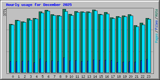 Hourly usage for December 2025