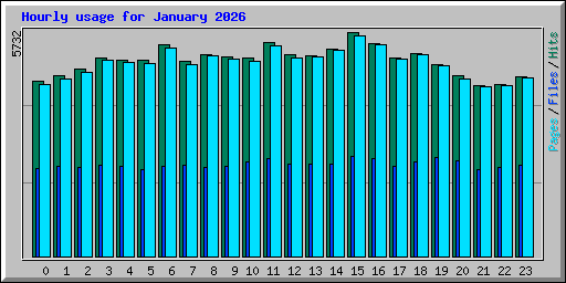 Hourly usage for January 2026
