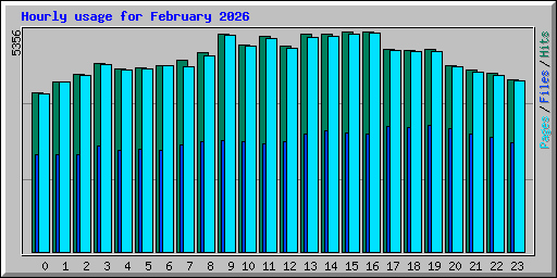 Hourly usage for February 2026