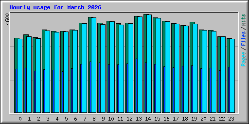 Hourly usage for March 2026