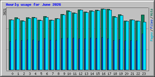 Hourly usage for June 2026